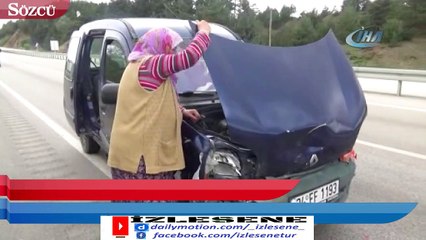 Kastamonu’daki ayı çıkabilir uyarısı gerçek oldu!