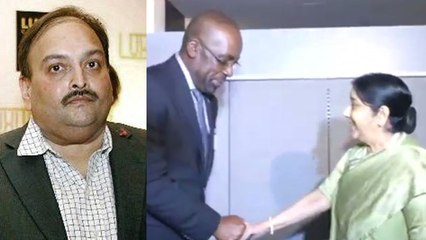 Sushma Swaraj ने की Antigua Finance Minister से मुलाकात, बढ़ी Mehul Choksi की मुश्किलें । वनइंडिया