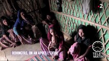 Humanitaire - Rohingyas