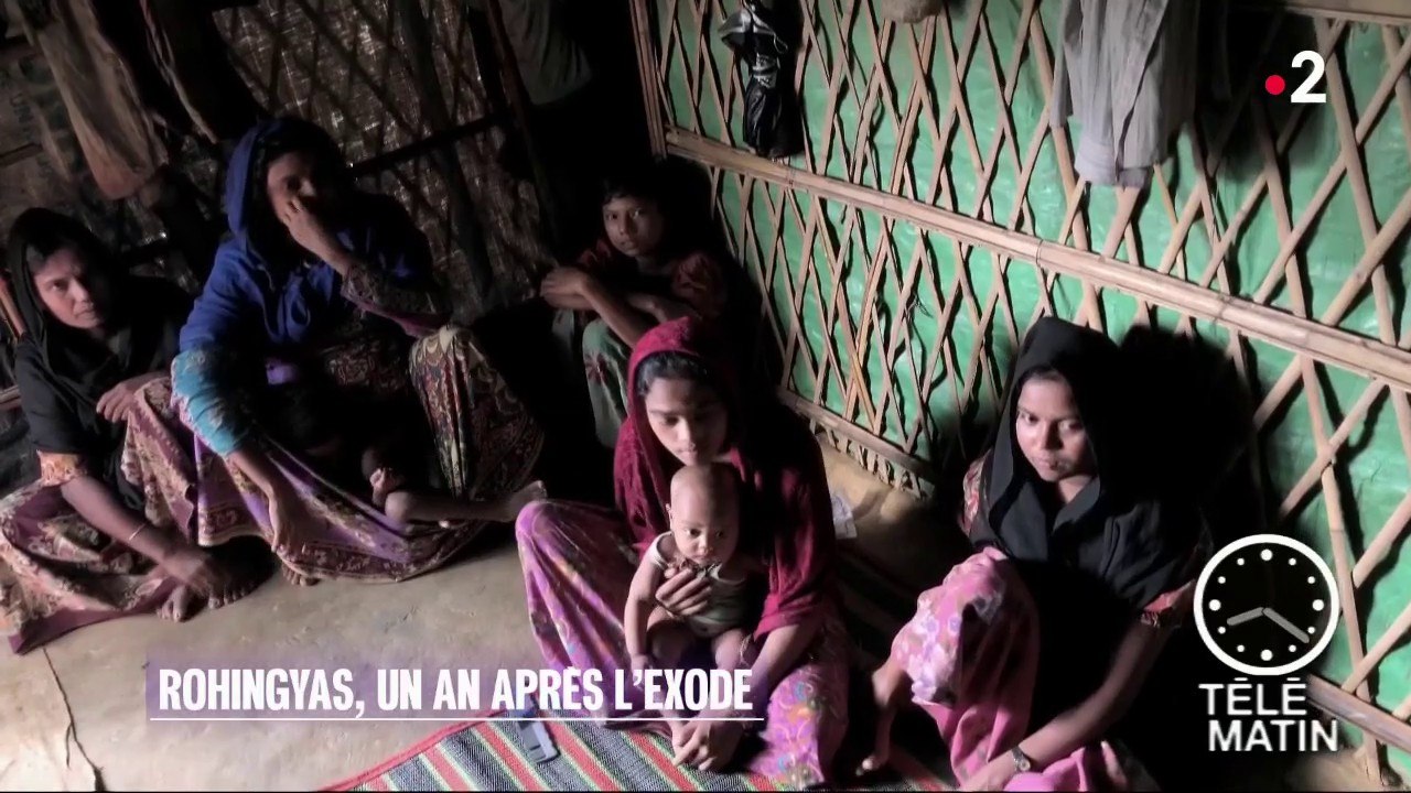 Humanitaire - Rohingyas