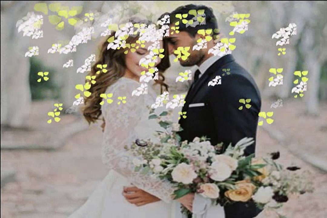 ♥️♥️ Best Wedding Whatsapp Status song ♥️♥️ || Daily Creations