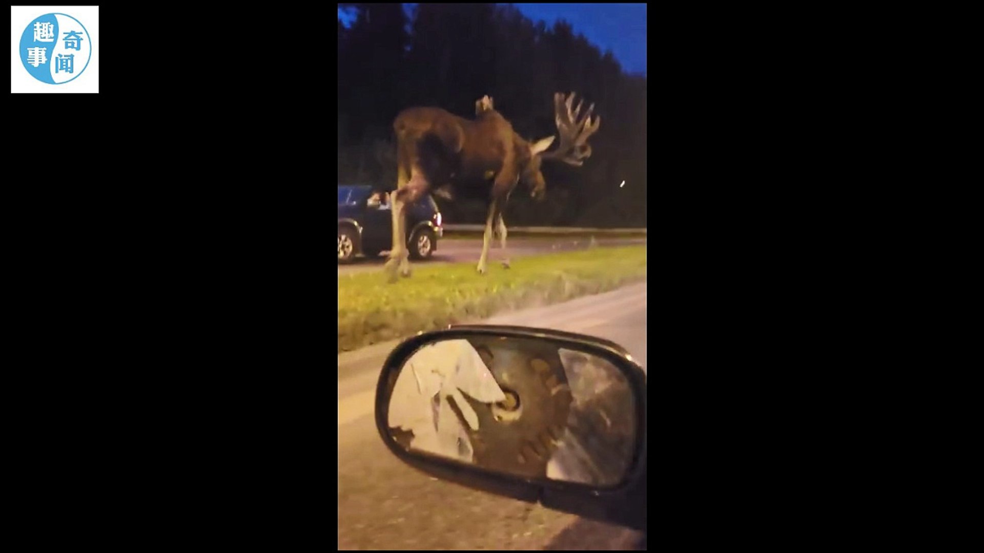 ⁣侏罗纪生物来袭, 世界上真有这么大的动物