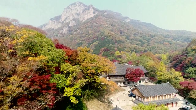 설악산 첫 단풍 시작, 지난해보다 5일 늦어 / YTN