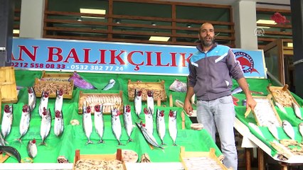 'Vatandaş tezgahtaki balığı tanımalı' - İSTANBUL