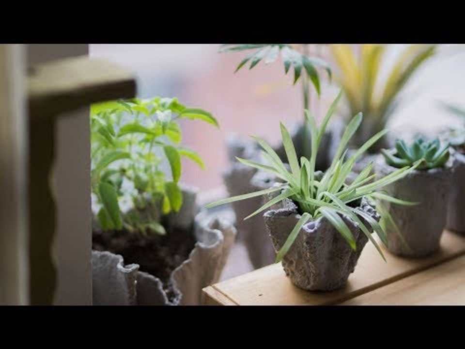 《造物集》S06E40 旧毛巾废物利用做花盆