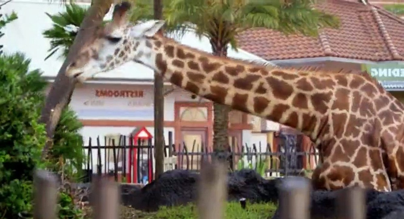 The Brain With Dr. David Eagleman S01 - Ep02 What Makes Me - Part 01 HD Watch