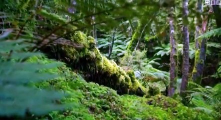 New Zealand Earth’s Mythical Islands S01 - Ep02 Wild Extremes - Part 01 HD Watch