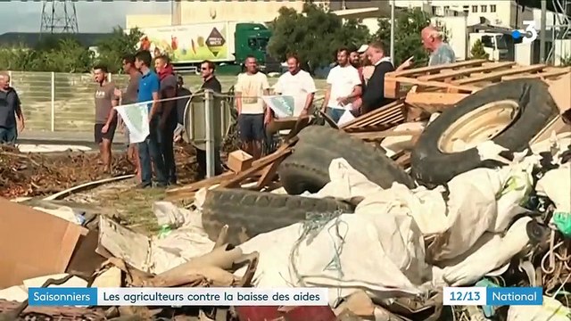 Saisonniers : les agriculteurs contre la baisse des aides