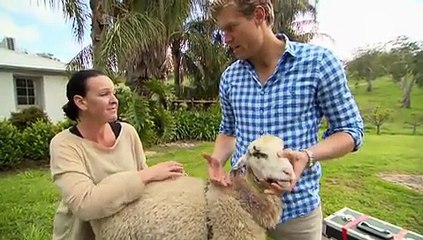 Bondi Vet - S08E09 - Jun 25, 2016