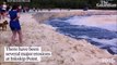 Cette plage Australienne est en train de se faire avaler par les vagues