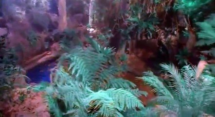 BeastMaster S01 - Ep01 The Legend Continues HD Watch