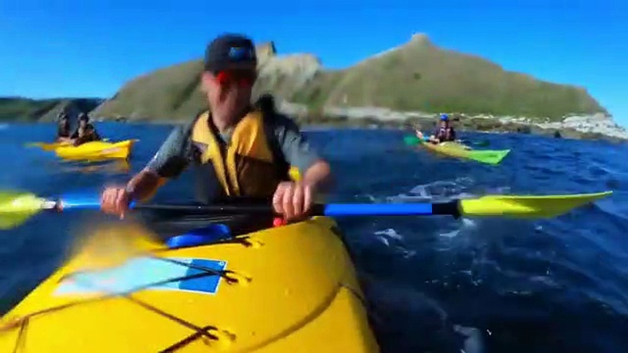 Tranquille sur son kayak, il se prend une grosse gifle d'une pieuvre