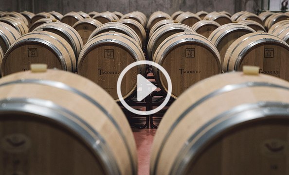 Enoturismo en Madrid: Bodegas Tagonius y Bodegas Cuarto Lote - Cuatro Infantes