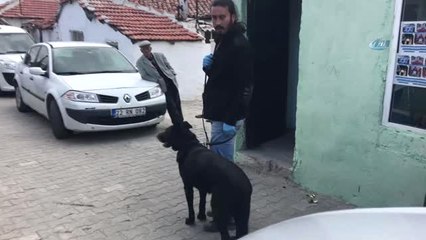 Polisten Uyuşturucuya Karşı Uygulama