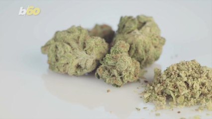 Bandits Rob Marijuana Dispensary, Get Away With Italian Spices