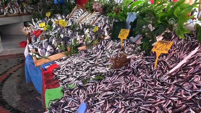 Palamut bolluğu hem balıkçıları hem vatandaşı sevindiriyor - EDİRNE