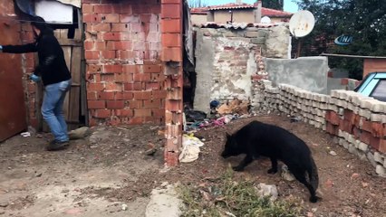 Polisten uyuşturucuya karşı uygulama