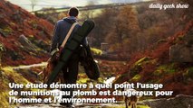 Les munitions au plomb menacent l’environnement et notre santé !