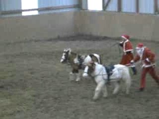 Longues rènes a la fête de Noel =)