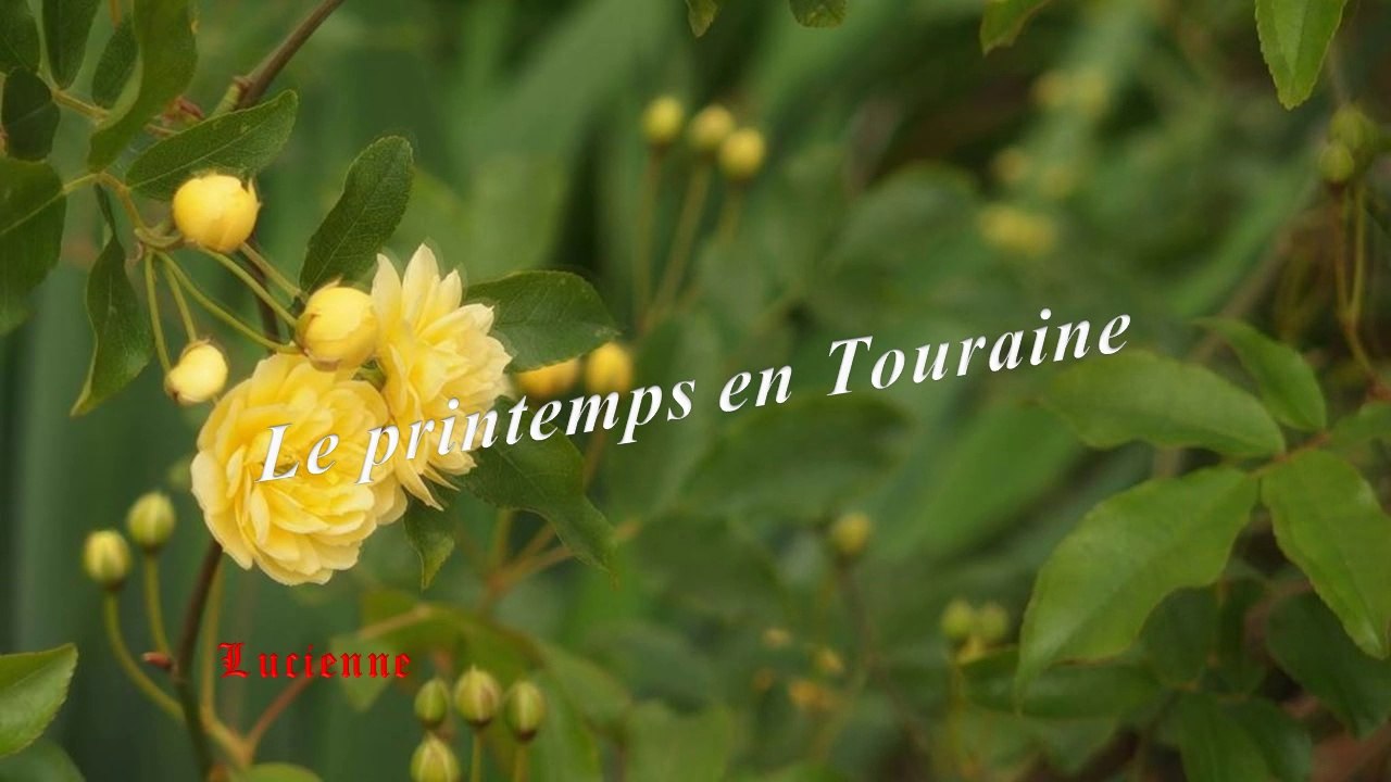 Le printemps en Touraine .Lucienne