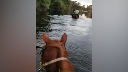 Download Video: 'Hurricane Cowboy' Rescues Horses From Flood Ravaged Areas In South Carolina