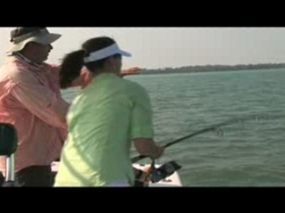 Shark clip SOF