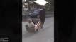 Betrunkener transportiert mit dem Wagen Von seiner Frau