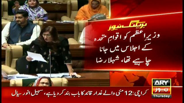 Shehla reveals how much 'curse' those took who considered taking loan from World Bank a curse