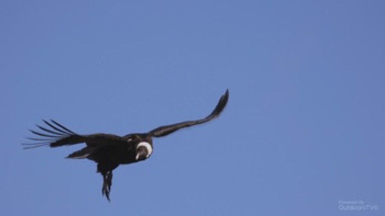 Chile inaugura nueva red de senderos con 2.800 kilómetros cuadrados en la Patagonia