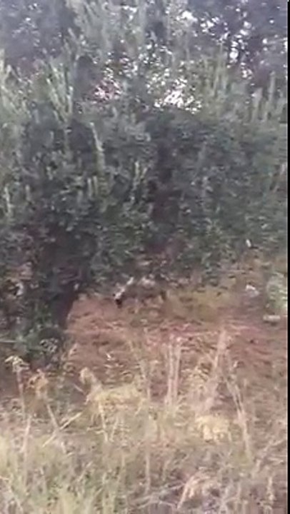 Oldubittiye getirilerek Go-Kart pisti yapılmak istenen tarım alanı mühürlendi