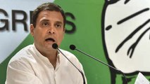 PM Modi is making Sardar Patel's statue which will have 'Made in China' tag, says Rahul Gandhi