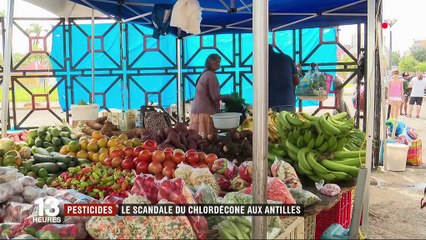 Pesticides : le scandale du chlordécone aux Antilles