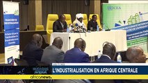 Financing industrialization in Central Africa [Business Africa]