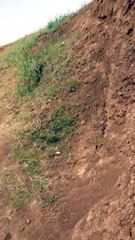 mükkemmel bir atlayış !!