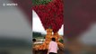 Chinese resort erects giant statue of rooster made out of chilli peppers