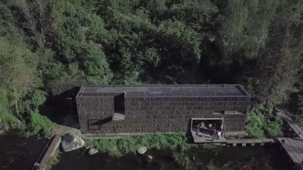 En Chine, une étonnante bibliothèque perdue dans la forêt