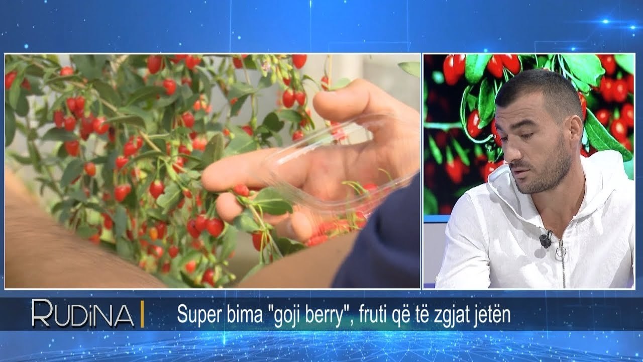 Rudina - Super bima : "Goji berry”, fruit qe te zgjat jeten! (27 shtator 2018)