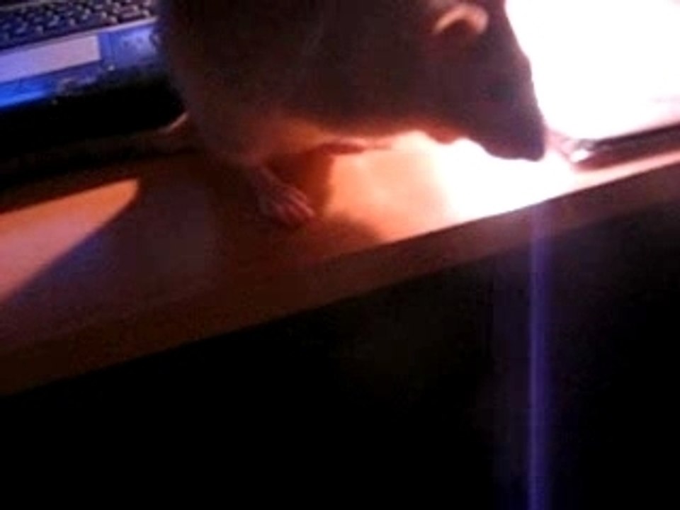 SCRAT MA RATTOUNE