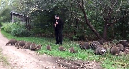 New York'ta Kaval Çalan Kızılderili Adam, Rakunları Çevresine Topladı