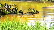 Contaminacion del Rio Parana con mancha de petroleo 2001