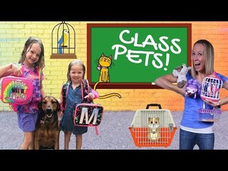 FAKE Toy School Gets a Class Pet !!!