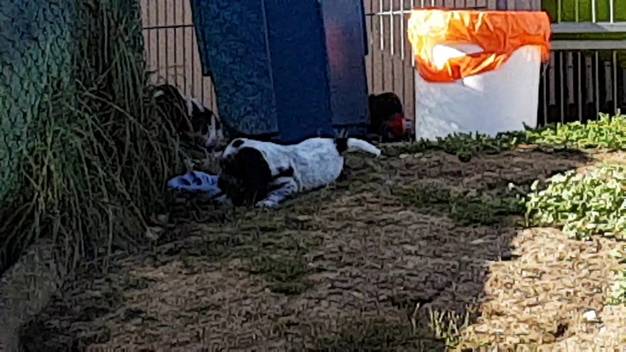 Nana X Medley 6 semaines -2