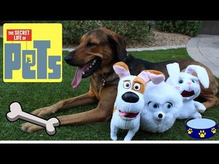 The SECRET LIFE OF PETS Talking Plush Buddies feat SNOWBALL, MAX, GIDGET and SANDY