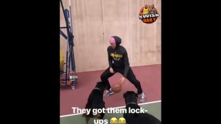 LaMelo Ball gets triple teamed by Lonzo Ball's rottweilers