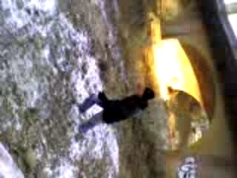 Video_0015[1].3gp
