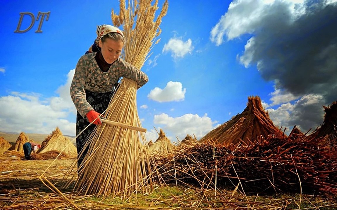 DERTLI DERTLI TURKULER 2017
