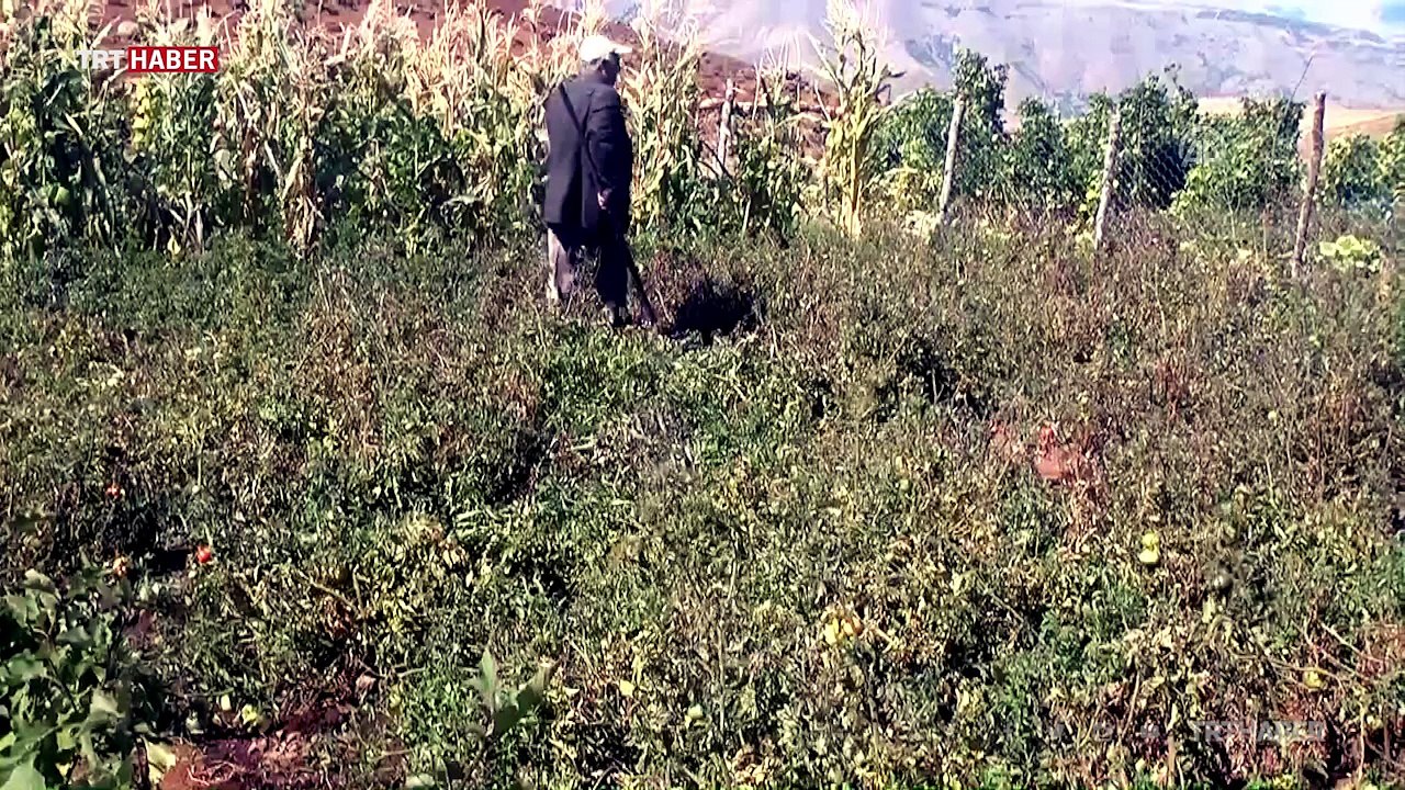 Terörden arındırılan köyde artık huzur var