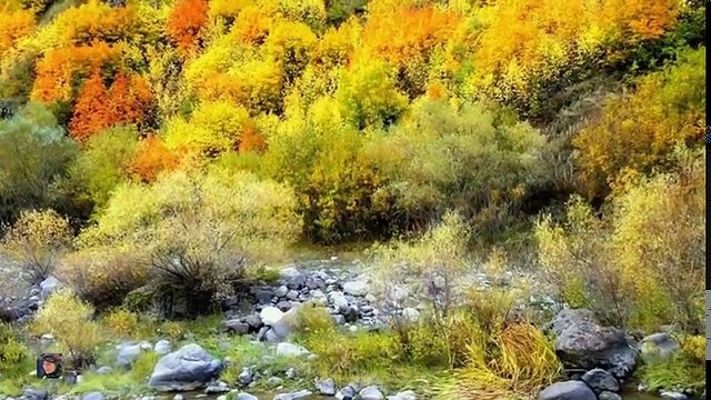 Yürek Yakan Dertli Türküler 2017-2018