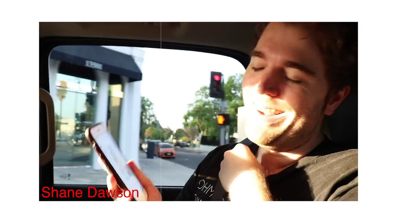 Shane Dawson's Jake Paul Series Really Questions Logan Paul's Behavior | Hollywoodlife