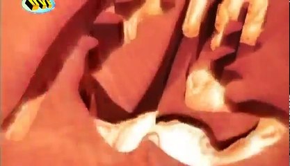 Anh Hùng Xạ Điêu 2003 Tập 15